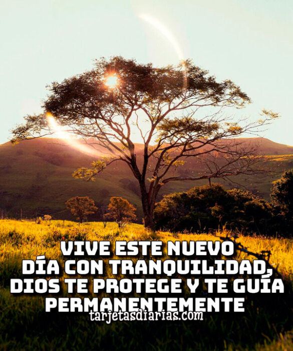 VIVE ESTE NUEVO DÍA CON TRANQUILIDAD, DIOS TE PROTEGE Y TE GUÍA PERMANENTEMENTE