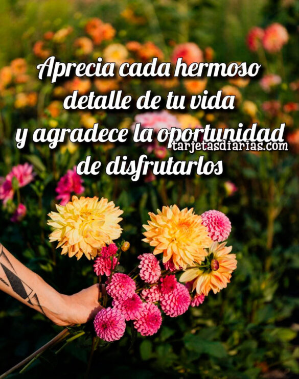 APRECIA CADA HERMOSO DETALLE DE TU VIDA Y AGRADECE LA OPORTUNIDAD DE DISFRUTARLOS