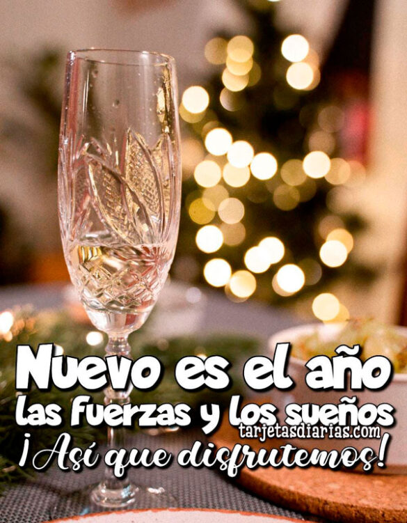 NUEVO ES EL AÑO, LAS FUERZAS Y LOS SUEÑOS ¡ASÍ QUE DISFRUTEMOS!