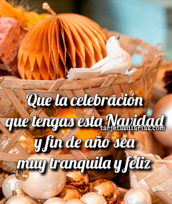 QUE LA CELEBRACIÓN QUE TENGAS ESTA NAVIDAD Y FIN DE AÑO SEA MUY TRANQUILA Y FELIZ