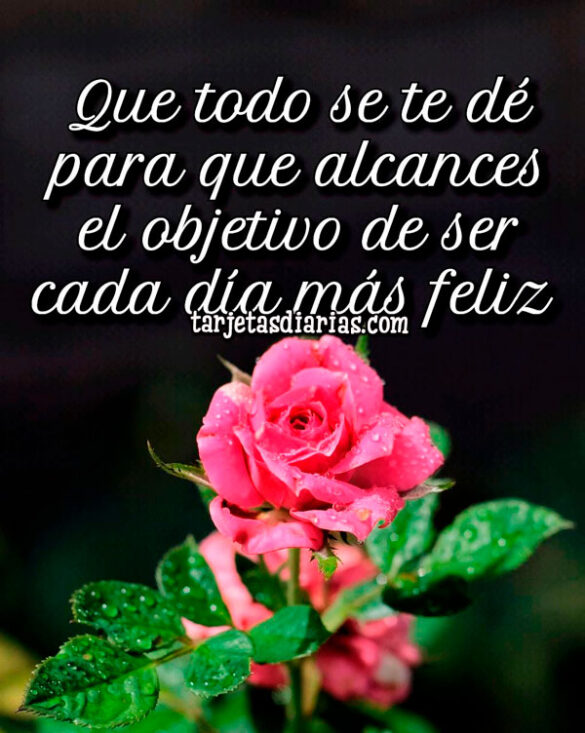 QUE TODO SE TE DÉ PARA QUE ALCANCES EL OBJETIVO DE SER CADA DÍA MÁS FELIZ