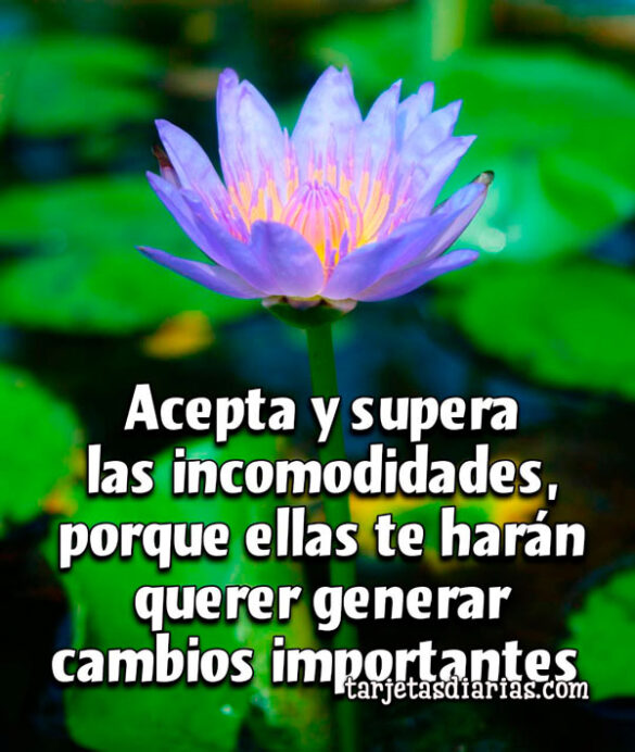 ACEPTA Y SUPERA LAS INCOMODIDADES, ELLAS TE HARÁN QUERER GENERAR CAMBIOS IMPORTANTES