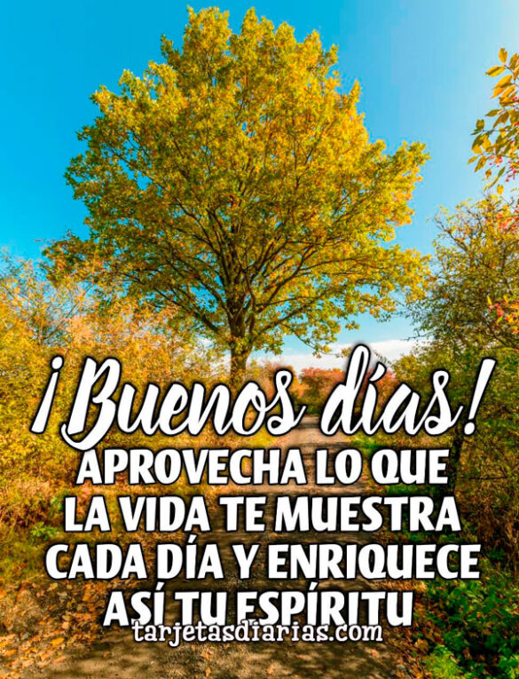 APROVECHA LO QUE LA VIDA TE MUESTRA CADA DÍA Y ENRIQUECE TU ESPÍRITU