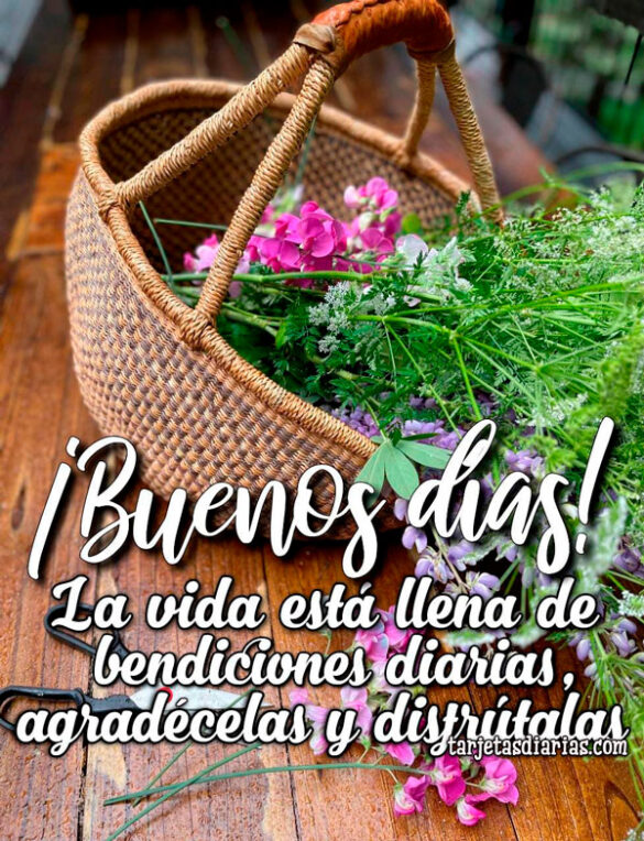 LA VIDA ESTÁ LLENA DE BENDICIONES DIARIAS, AGRADÉCELAS Y DISFRÚTALAS