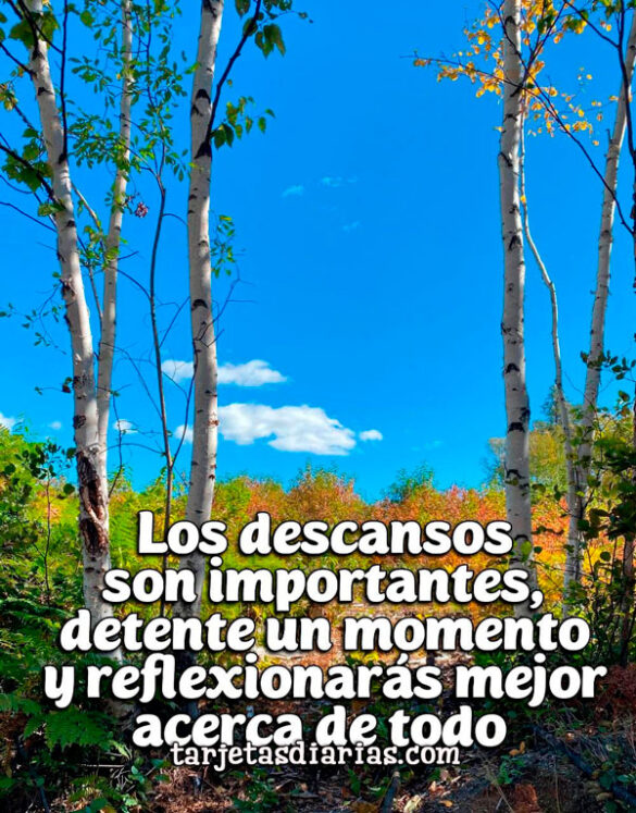 LOS DESCANSOS SON IMPORTANTES, DETENTE UN MOMENTO Y REFLEXIONARÁS MEJOR ACERCA DE TODO