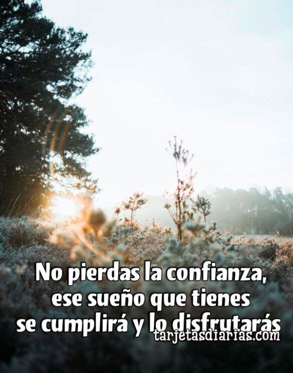 NO PIERDAS LA CONFIANZA, ESE SUEÑO QUE TIENES SE CUMPLIRÁ Y LO DISFRUTARÁS