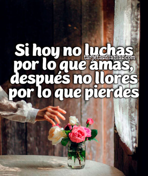 SI HOY NO LUHAS POR LO QUE AMAS, DESPUÉS NO LLORES POR LO QUE PIERDES