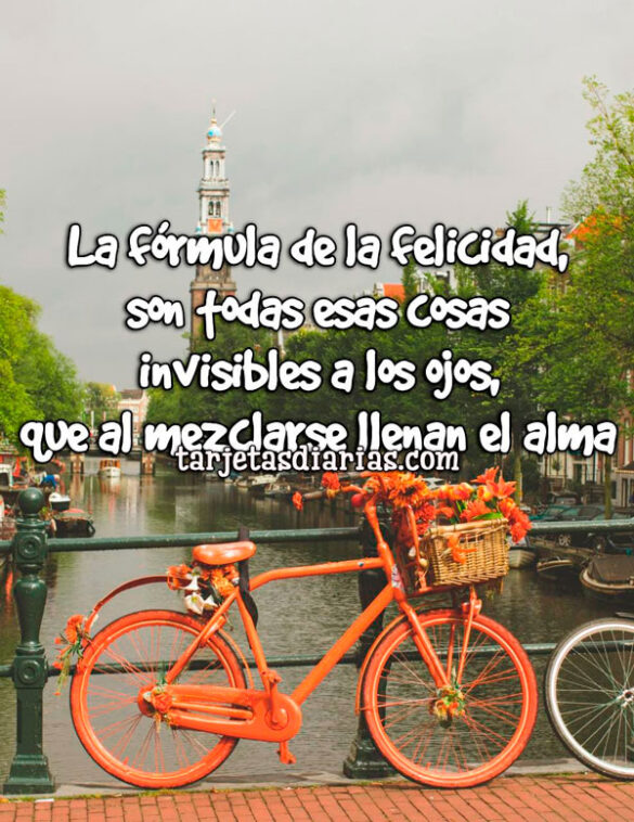 LA FÓRMULA DE LA FELICIDAD, SON TODAS ESAS COSAS INVISIBLES A LOS OJOS, QUE AL MEZCLARSE LLENAN EL ALMA