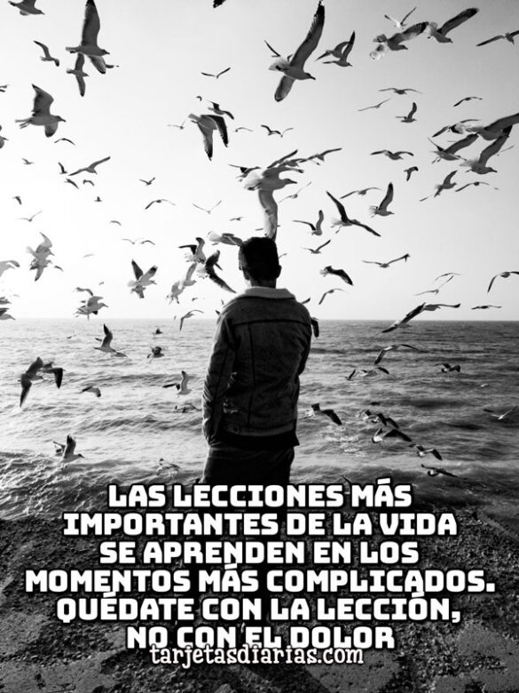 LAS LECCIONES MÁS IMPORTANTES DE LA VIDA SE APRENDEN EN LOS MOMENTOS MÁS COMPLICADOS