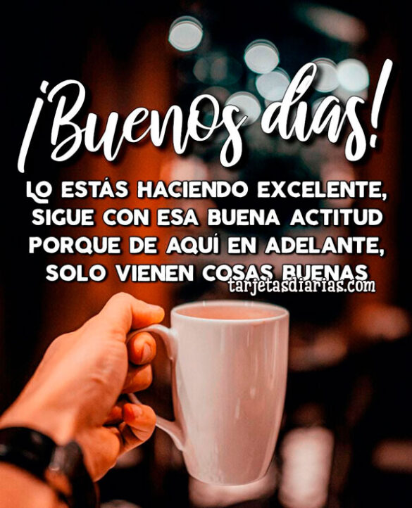 LO ESTÁS HACIENDO EXCELENTE, SIGUE CON ESA BUENA ACTITUD