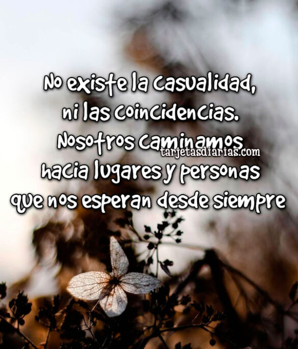 NO EXISTE LA CASUALIDAD, NI LAS COINCIDENCIAS