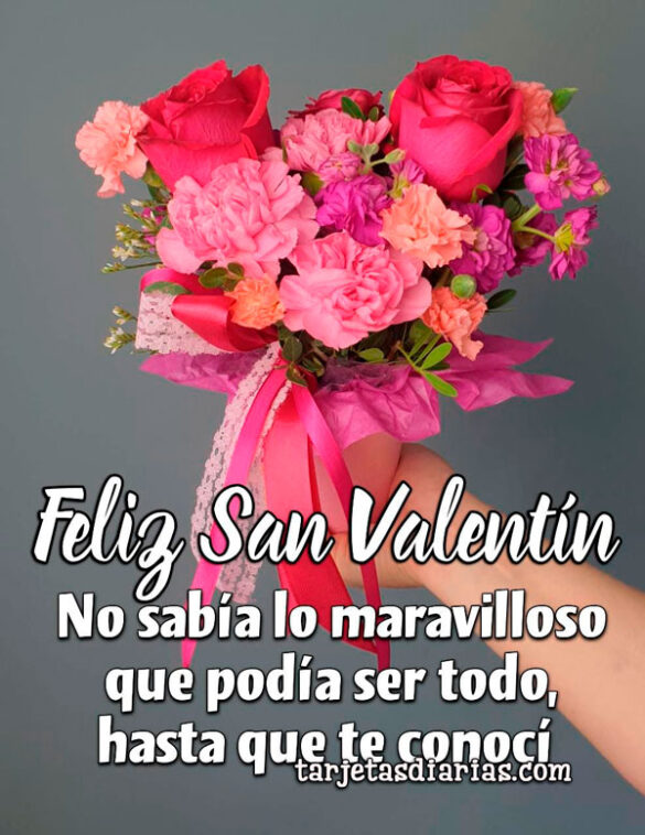 NO SABÍA LO MARAVILLOSO QUE PODÍA SER TODO, HASTA QUE TE CONOCÍ