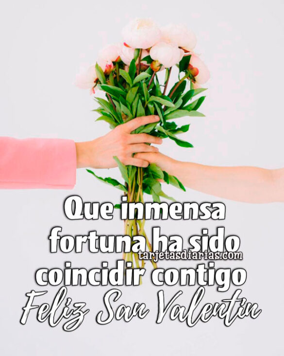 QUE INMENSA FORTUNA HA SIDO COINCIDIR CONTIGO