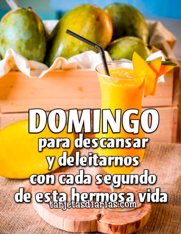 DOMINGO PARA DESCANSAR Y DELEITARNOS CON CADA SEGUNDO DE ESTA HERMOSA VIDA