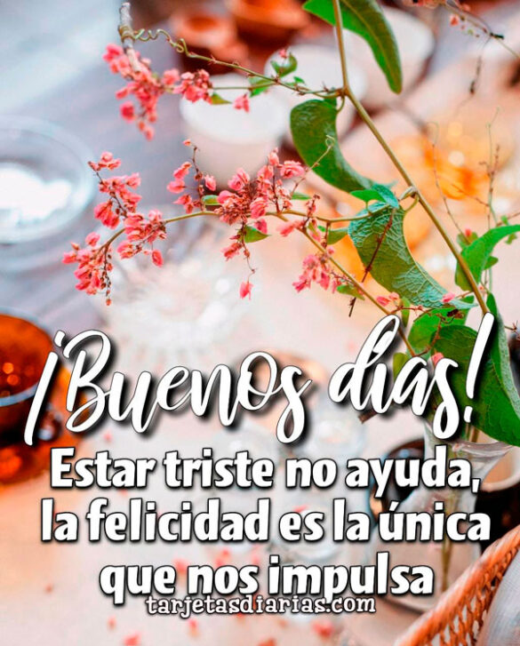 ESTAR TRISTE NO AYUDA, LA FELICIDAD ES LA ÚNICA QUE NOS IMPULSA