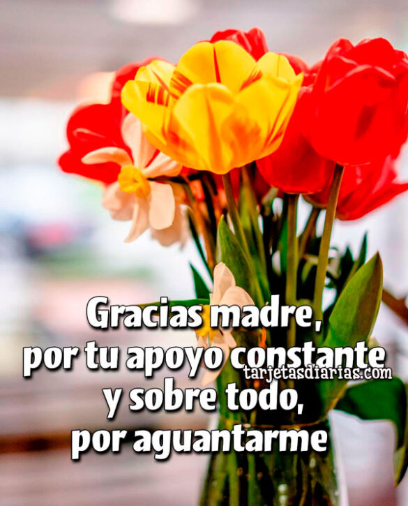 GRACIAS MADRE, POR TU APOYO CONSTANTE Y SOBRE TODO, POR AGUANTARME