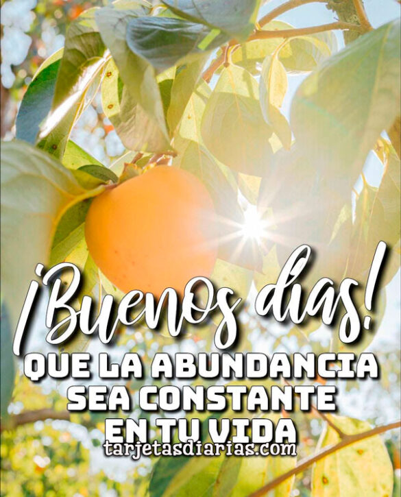 QUE LA ABUNDANCIA SEA CONSTANTE EN TU VIDA