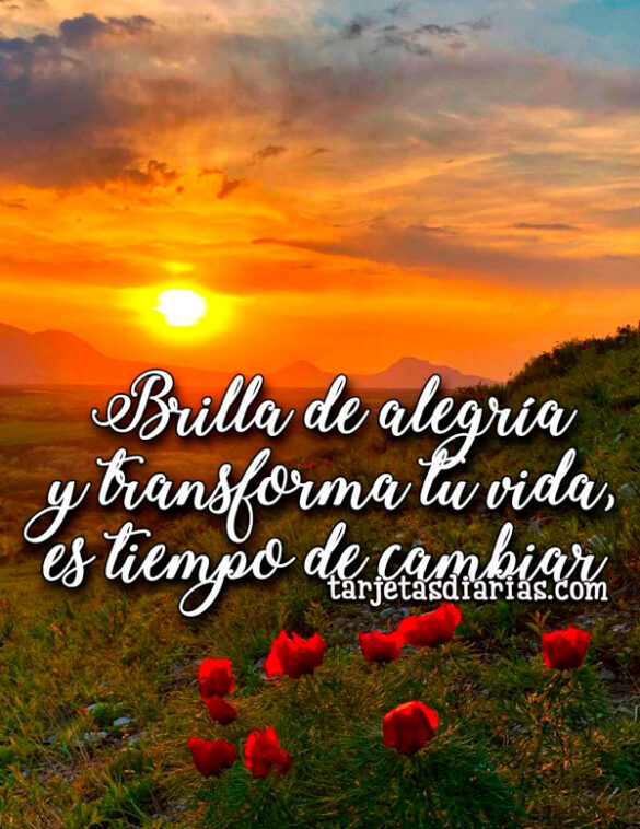 BRILLA DE ALEGRÍA Y TRANSFORMA TU VIDA, ES TIEMPO DE CAMBIAR