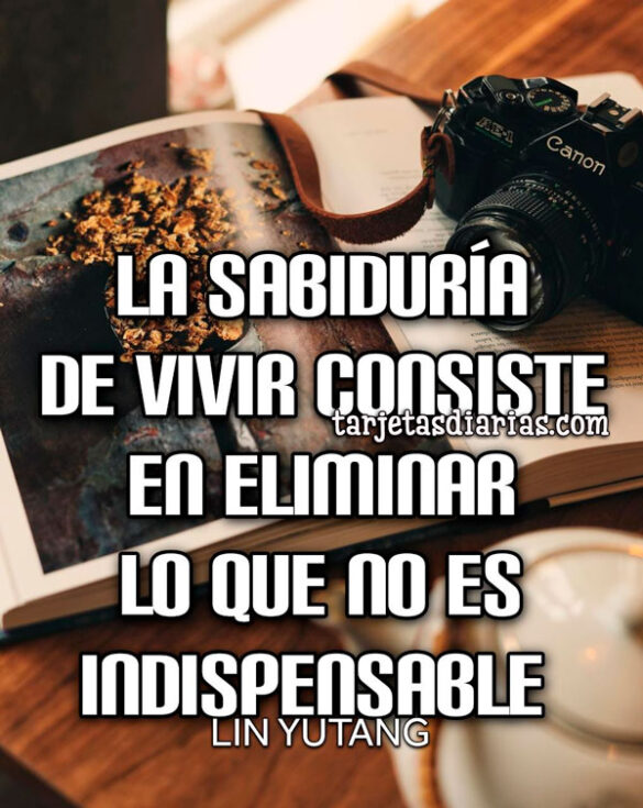 LA SABIDURÍA DE VIVIR CONSISTE EN ELIMINAR LO QUE NO ES INDISPENSABLE