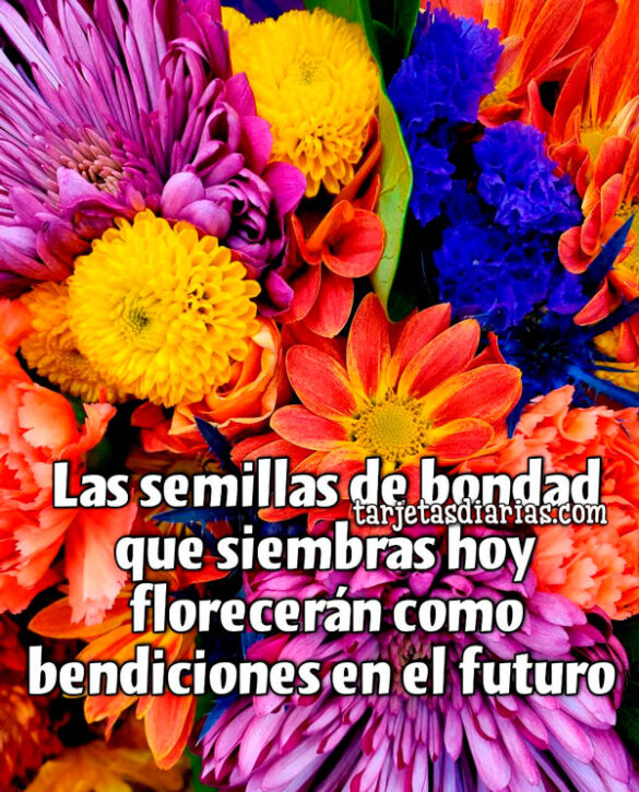 LAS SEMILLAS DE BONDAD QUE SIEMBRAS HOY, FLORECERÁN COMO BENDICIONES EN EL FUTURO