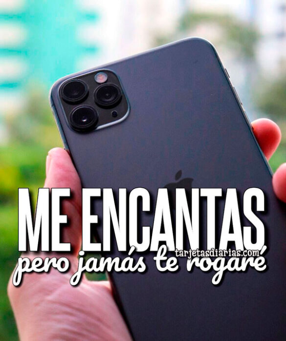 ME ENCANTAS, PERO JAMÁS TE ROGARÉ