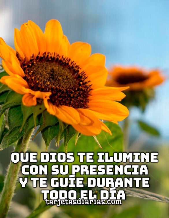 QUE DIOS TE ILUMINE CON SU PRESENCIA Y TE GUÍE DURANTE TODO EL DÍA