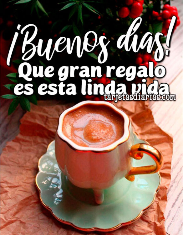 QUE GRAN REGALO ES ESTA LINDA VIDA