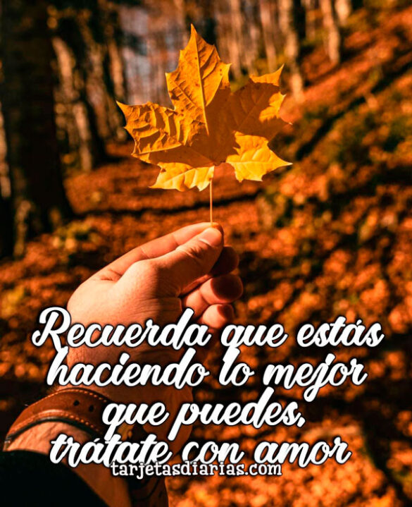 RECUERDA QUE ESTÁS HACIENDO LO MEJOR QUE PUEDES, TRÁTATE CON AMOR