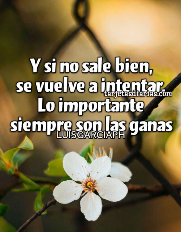 Y SI NO SALE BIEN, SE VUELVE A INTENTAR. LO IMPORTANTE SIEMPRE SON LAS GANAS