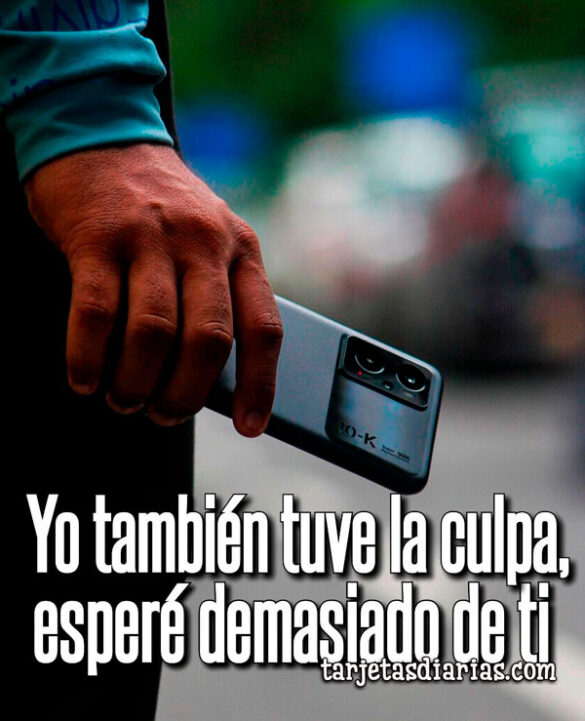YO TAMBIÉN TUVE LA CULPA, ESPERÉ DEMASIADO DE TI
