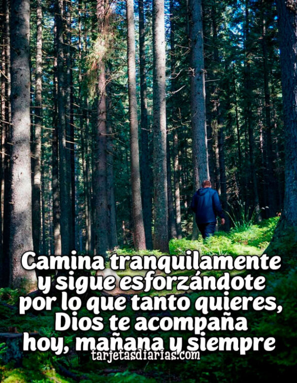 CAMINA TRANQUILAMENTE Y SIGUE ESFORZÁNDOTE, DIOS TE ACOMPAÑA