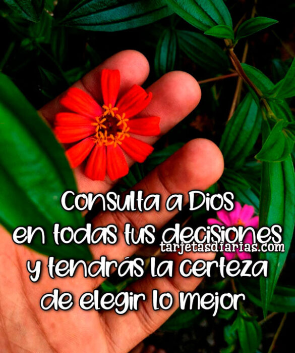 CONSULTA A DIOS EN TODAS TUS DECISIONES Y TENDRÁS LA CERTEZA DE ELEGIR LO MEJOR