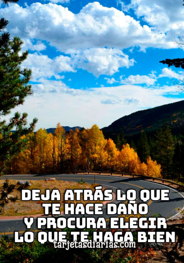 DEJA ATRÁS LO QUE TE HACE DAÑO Y PROCURA ELEGIR LO QUE TE HAGA BIEN