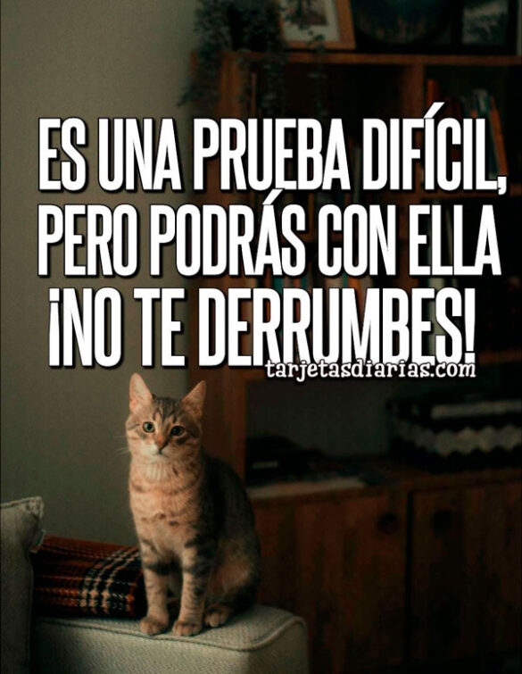 ES UNA PRUEBA DIFÍCIL, PERO PODRÁS CON ELLA ¡NO TE DERRUMBES!