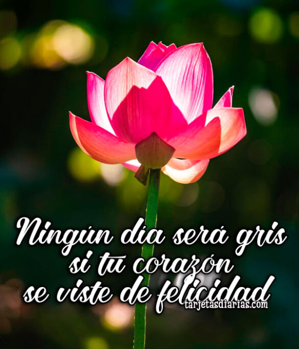 NINGÚN DÍA SERÁ GRIS SI TU CORAZÓN SE VISTE DE FELICIDAD