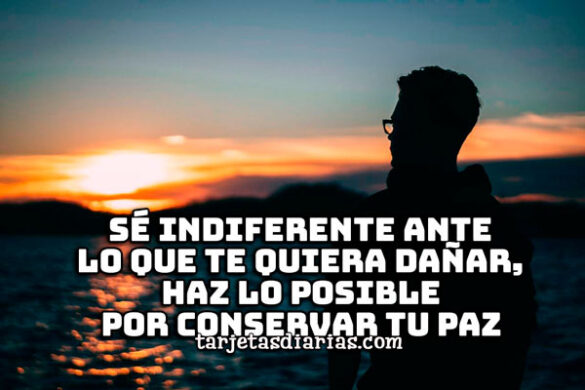 SÉ INDIFERENTE ANTE LO QUE TE QUIERA DAÑAR, HAZ LO POSIBLE POR CONSERVAR TU PAZ