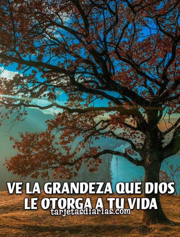 VE LA GRANDEZA QUE DIOS LE OTORGA A TU VIDA