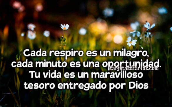 CADA RESPIRO ES UN MILAGRO, CADA MINUTO ES UNA OPORTUNIDAD