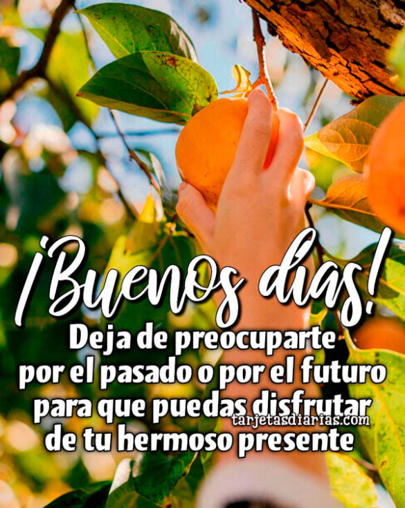 DEJA DE PREOCUPARTE POR EL PASADO O POR EL FUTURO PARA QUE PUEDAS DISFRUTAR DE TU HERMOSO PRESENTE