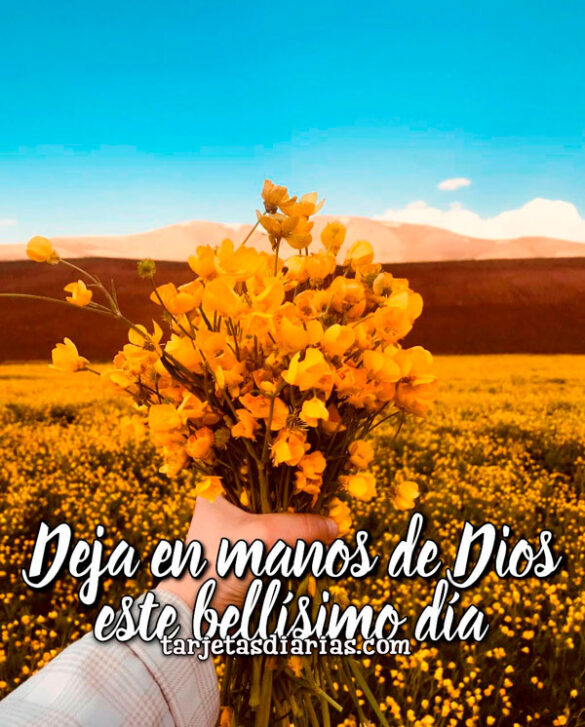 DEJA EN MANOS DE DIOS ESTE BELLÍSIMO DÍA