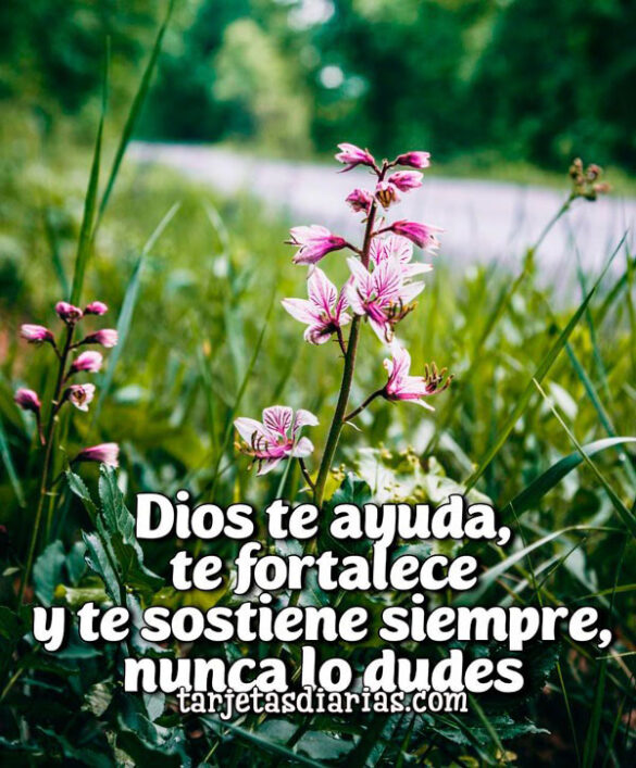 DIOS TE AYUDA, TE FORTALECE Y TE SOSTIENE SIEMPRE, NUNCA LO DUDES