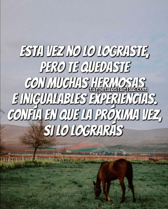 ESTA VEZ NO LO LOGRASTE, PERO TE QUEDASTE CON MUCHAS HERMOSAS E INIGUALABLES EXPERIENCIAS
