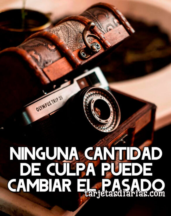 NINGUNA CANTIDAD DE CULPA PUEDE CAMBIAR EL PASADO