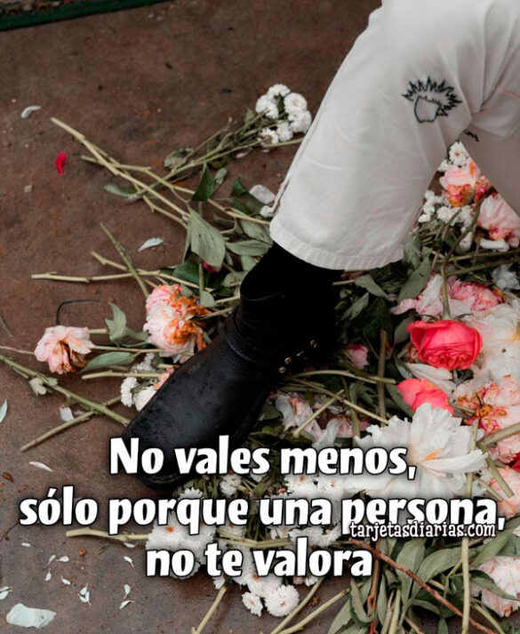 NO VALES MENOS, SÓLO PORQUE UNA PERSONA, NO TE VALORA