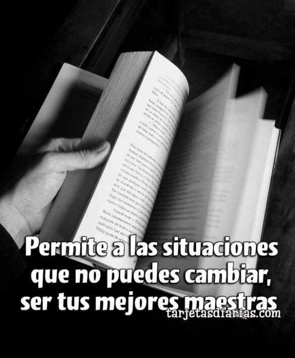 PERMITE A LAS SITUACIONES QUE NO PUEDES CAMBIAR, SER TUS MEJORES MAESTRAS