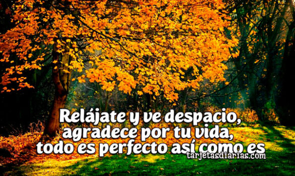 RELÁJATE Y VE DESPACIO, AGRADECE POR TU VIDA, TODO ES PERFECTO, ASÍ COMO ES