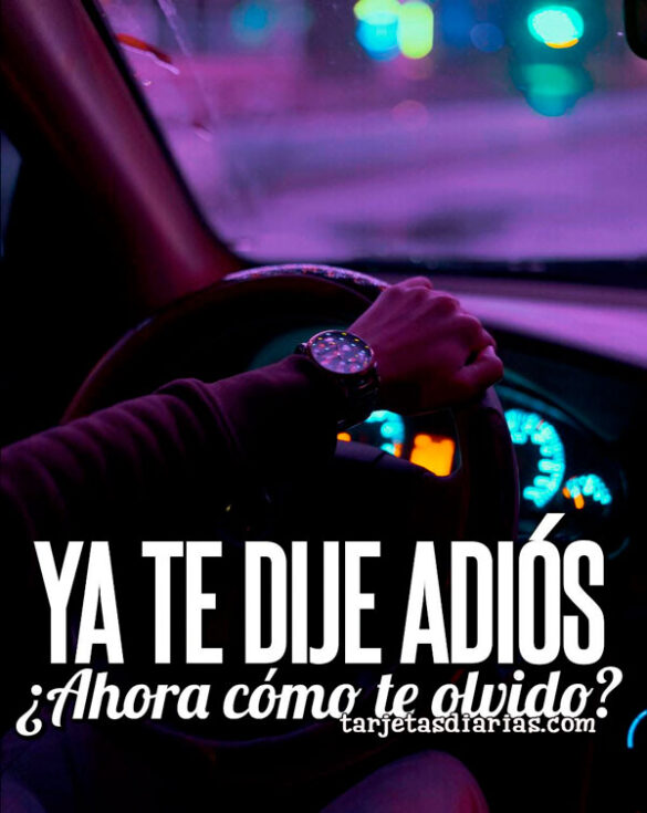 YA TE DIJE ADIÓS ¿AHORA CÓMO TE OLVIDO?