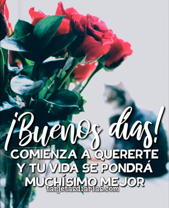 COMIENZA A QUERERTE Y TU VIDA SE PONDRÁ MUCHÍSIMO MEJOR