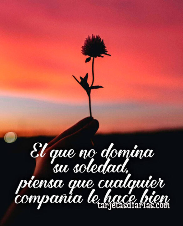 EL QUE NO DOMINA SU SOLEDAD, PIENSA QUE CUALQUIER COMPAÑÍA LE HACE BIEN