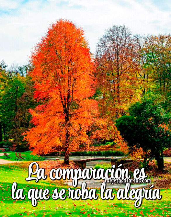 LA COMPARACIÓN ES LA QUE SE ROBA LA ALEGRÍA